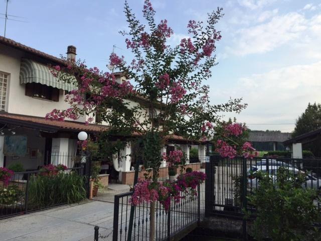 Hotel Locanda Da Carla Vigevano Ngoại thất bức ảnh